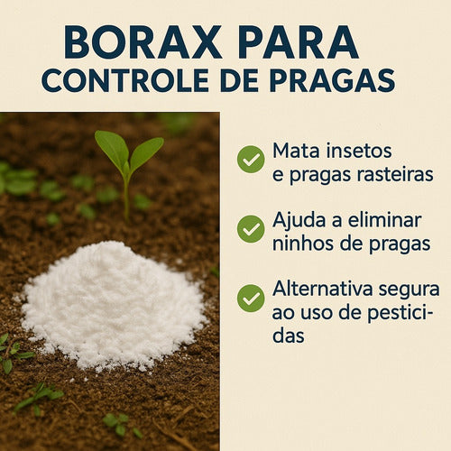 Bórax 1kg Pesticida Natural - Mata Baratas E Formigas