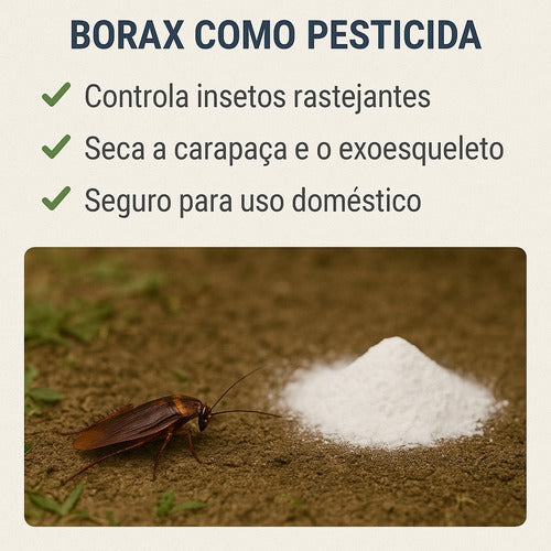 Bórax 1kg Pesticida Natural - Mata Baratas E Formigas