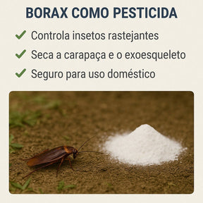 Bórax 1kg Pesticida Natural - Mata Baratas E Formigas