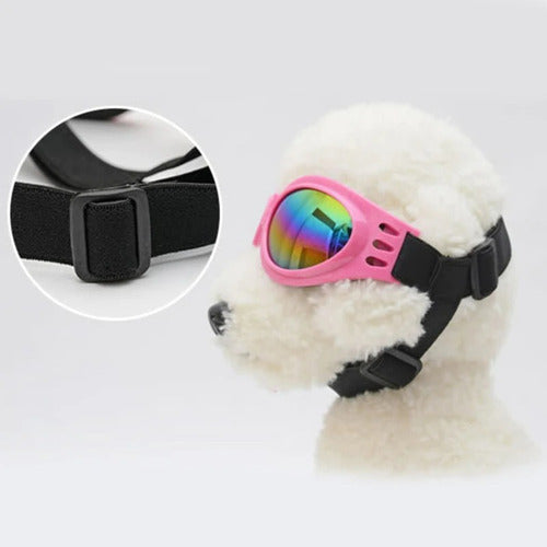 Óculos De Sol Pet Cão Gato Cachorro C/ Elástico Ajustável Uv