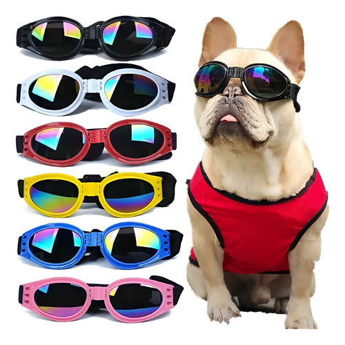 Óculos De Sol Pet Cão Gato Cachorro C/ Elástico Ajustável Uv